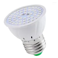Grow Lights AT35 E27 80 Leds Plant Lamp Led Full Spectrum Growth Light Bulbs Seedling Flower Phyto For Indoor Hydroponic Plants