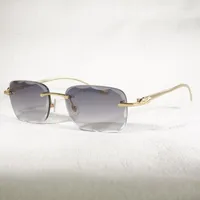 Sunglasses Pochromi Diamond Cut Rimless Vintage Leopard Gafas Retro Shades Men Goggles Clear Glasses Metal Eyewear With Case