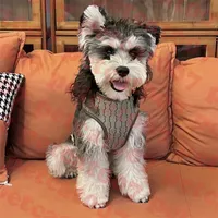 Animali domestici imbracate le lettere designer dogs colletti guinzagli collari in pelle per animali