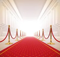 Red Carpet Golden Stanchions Vinyl Pography Backdrops Newborn Baby Po Booth Backgrounds for Wedding Studio Props5802922