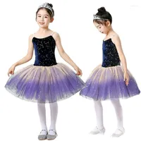 Stage Wear Girl Ballet Performance Dress Toddler Toddler Leotard for Black Swan Tutu Ballerina Kids Unitard Women