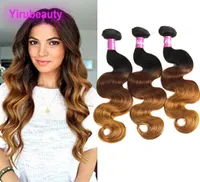 Brazilian Virgin Hair Malaysian Indian Peruvian Ombre Human Hair 1B427 Bundles Body Wave 3 Pieceslot Double Wefts Hair Extensio3008466