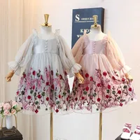 Girl&#039;s Dresses Cute Baby Girls Dresses Spring Autumn Wedding Birthday Party Kids Clothes Embroidery Floral Teens Outfits Dance Wear Vestidos T221207