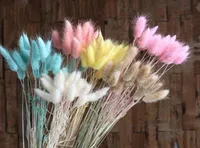 20pcs Lot Artificial Dyeing Lagurus Dried Flowers Real Ovatus Bouquet For Home Wedding Decoration Fake Decorative Wreaths2287729