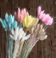 20pcs Lot Artificial Dyeing Lagurus Dried Flowers Real Ovatus Bouquet For Home Wedding Decoration Fake Decorative Wreaths9407244
