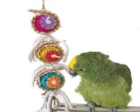 Papegoja leksaker boll husdjur f￥gelbitar kl￤ttra tuggleksaker h￤ngande cockatiel parakeet sv￤ngande papegoja bur f￥gel leksaker7217400