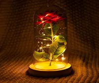 Romantische ewige Rosenblumenglasabdeckung Schönheit und Beast LED Batterie Lampe Geburtstag Valentine039s Tag Mutter Geschenk Home Decorati4624997