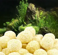 Dekorationer akvariumväxter poröst keramiskt filter media netpåse biologisk boll fisk tank växt dekoration landskap prydnad6533940