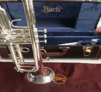 Bach Stradivarius Trompet Modeli 37 Gümüş Kaplama LT180S37 Trumpete orijinal mavi kasa ile trompe