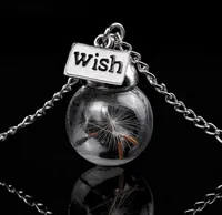 Glass bottle necklace Natural dandelion seed in glass long necklace Make A Wish Glass Bead Orb silver plated Necklace jewelry G1256753153
