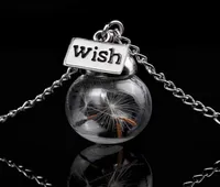 Glass bottle necklace Natural dandelion seed in glass long necklace Make A Wish Glass Bead Orb silver plated Necklace jewelry G1251518728