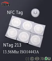 5YOA 100PCSLOT NFC Etiket Çıkartma 1356MHz ISO14443A NTAG213 Anahtar Etiketler Llaveros Llavero Token Devriyesi Etiketi RFID Etiket Badge4616359