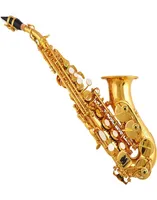 YANAGISAWA Curved Soprano Saxophone S991 Gold Key m￤ssing Sax Professionella munstycksfl￤ckar Kuddar Vassb￶jning Neck5321901