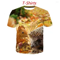 T-shirts masculins ecureuil 3d chemise imprimée / sweat-shirt / sweat à capuche / pantalon hommes harajuku drôle