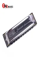 Harmonica SWAN BLUES 10 Hole C tone with case Brass stainless steel9804690