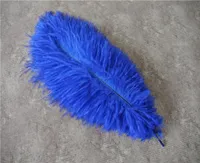 Whole 100pcslot 1214inch Royal Blue Ostrich Feathers Plumes for Wedding Centerpiecesパーティー装飾イベントsupplie7503758