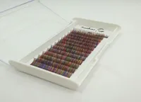 Marca de arco -íris colorida colorida cílios individuais bandejas de cílios falsos de seda baratos