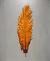 100PCSLOT 89INCH ORANGE OSTRICH FEATHERS PLUMES FOR WEDDING CENTERPIECES PARTY DECORイベントお祝い供給6662724