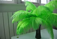 100 PCS 1416INCH LIME GREEN OSTRICH FEATHER PLUME FOR WEDDING CENTERPIECES WEDDING DECOR PARTY TABLE CENTERPIECE7130257