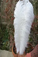 100 PCSLOT 1618INCH3540cm White Ostrich Feather Plumes for Wedding Centerpiece Wedding Party Event Decor Festiv1943126