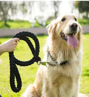 Nylon trenzada correa grande para perros de metal P Coloque de hebilla de hebilla Juego Golden Retriever Husky Medium Traction Rope Rope9204587