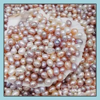 Perle nat￼rlicher S￼￟wasserperlen Auster ohne Loch 78 mm hell rishaped losen wirklich unterschiedliche Farbmode Schmuck Gro￟handel Drop Deliv Otipd