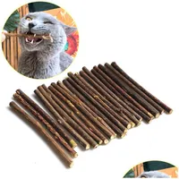 Other Cat Supplies Natural Catnip Pet Molar Tootaste Stick Matatabi Actinidia Fruit Siervine Cats Snacks Sticks Pets Cleaning Teeth Dh2S1