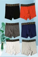 Mens Boxer Briefs İç çamaşırları UNDOPANT'lar Tasarımcı Boksörler Lüks V France marka Mans Conton Moda 7 Renkler Asya Boyutu WI6846919