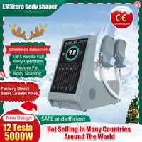 크리스마스 쇼핑 슈퍼 대형 스크린 휴대용 DLS-EMSLIM 전자기 슬리밍 뷰티 emszero 복부 자기 근육 자극기
