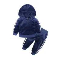 Toddler Tracksuit Autumn Baby Clothing Sets Children Boys Girls Fashion Close Kids Hooded Tshirt and Pant 281M4530980