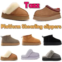 Australien Tazz Slipers Disquette Platform Slipper M￤n kvinnor Skor Vinter Snow Boots Ultra Mini Boot Ankle Booties Suede Shearling Slides Warm Designer P￤ls Slide