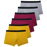 Sous-pants Boxer Soft and Breathable Boxer Sports Trendy Casual 2022 Dernier Carton d'été en polyester long sous-vêtements
