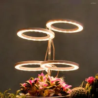 تنمو أضواء LED LED Angel Ring Light Plant Castlings Full Spectrum LAMP INDOOR Growth Flower Growth DC5V USB Supplies