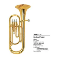 Vendi ora dettagli sul corno per piston da baritono tuba in ottone professionale.