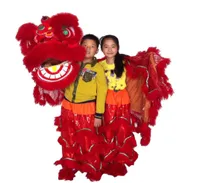 Art Red Children New Lion Dance Mascot Costume School Play Outdoor Dzieci Dni Parada wełna wełna południowa lwa dla dorosłych rozmiar Chińskie folk4491280