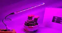 Wachsen Leuchten 21 LED -Pflanze Licht 5 V USB Mini Blume Anbau Schreibtisch Rotblau DC Indoor Phyto Lampe für Topf -Sukkulenten Fischtank C14139759