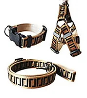 Leashes Dog Collars Set Designer Dog Leash Seat Belts Pet Collar and Pets Chain With For för små medelstora stora hundar Cat3388280