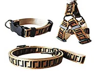 Leashes Dog Collars Set Designer Dog Leash Seat Belts Pet Collar and Pets Chain With For f￶r sm￥ medelstora stora hundar Cat6915060