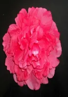 50pcs Simulazione di seta artificiale Fiore rosa camelia Flowers Peony 9 colori Novel Christmas 16cm3759579