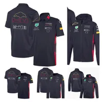 F1 Team T-shirt Formula 1 Racing Driver Lapel Polo Shirts Auto Fan T-Shirts Summer Maniche corte F1 Giacca con cappuccio Motocross Jersey