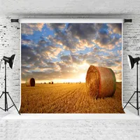 7x5ft Autumn Straw Bales Backdrop Sunset Blue Sky Haystack Pography Background Fall Harvest Season Po Backdrops for Holiday Shoot Prop232s