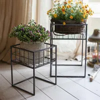 Hausdekoration Geometrische Eisenblumenregal bodenhöre grüne Dill- und Klammerpflanze Jardiniere Wohnzimmer Balkon