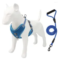 Dog Collars Legendog Accessories Breathable Mesh Harness And Leash Set Puppy Cat Vest For Supplies Pet Products