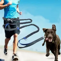Dog Collars Leashes Running 편안한 액세서리 Leash Spopplies Chiens 트랙션 로프 애완 동물 품목 탄성 221104