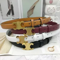 Luxury Designers Belts For Women Luxury Belt Width 2.5cm Cowhide Waistband Leather Man Belt Automatic Buckle Lin 22110505