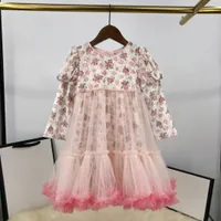 Automn Kids Girls Long Manches Robes Tutu b￩b￩ fille en dentelle dentelle imprimer en velours robe mode enfant Party Tutu
