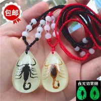 Hänge halsband verkliga insekt bra halsband på priset på manliga och kvinnliga älskare kreativa bokstäver smycken lysande skorpion
