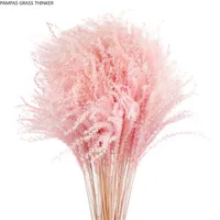 Pampas Grass pensador colorido Natural de color rosa claro Natural Flores Valent￭n Valent￭n D￭a Relojes de flores de ca￱a secas