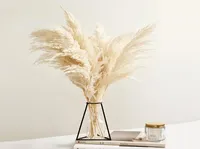 Pampos Grass Decor White Color Fluffy Flores secas naturais Buqu￪ branqueado boho estilo vintage para casamento em casa decora￧￣o de natal6320392