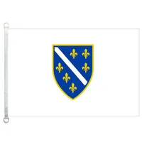 Bósnia e bandeira da bandeira da Bósnia e Herzegovina 3x5ft-90x150cm 100% poliéster 110gsm malha de malha de malha bandeira externa273i